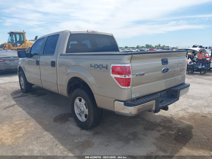 2009 FORD F-150 VIN: 1FTPW14V49FA24031