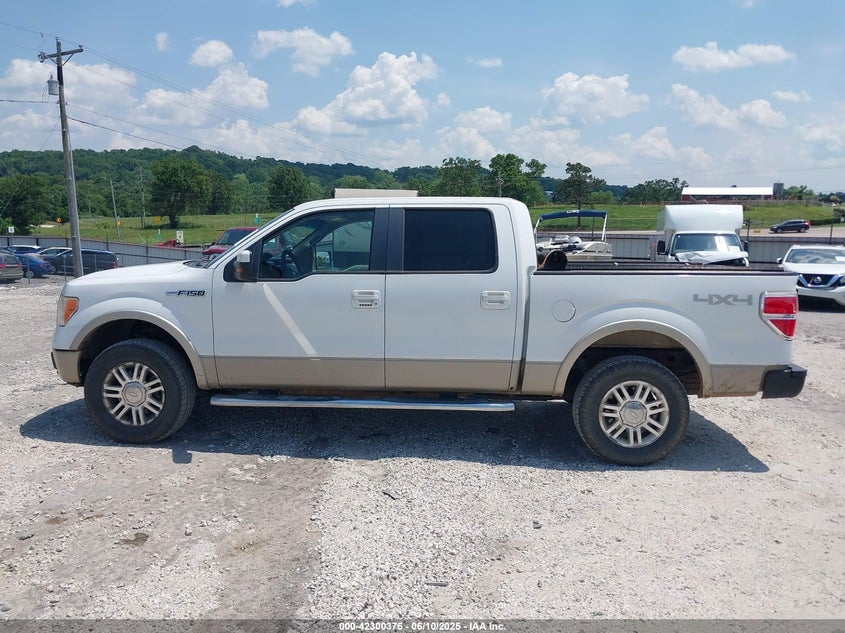 2010 FORD F-150 VIN: 1FTFW1EV0AFB39952