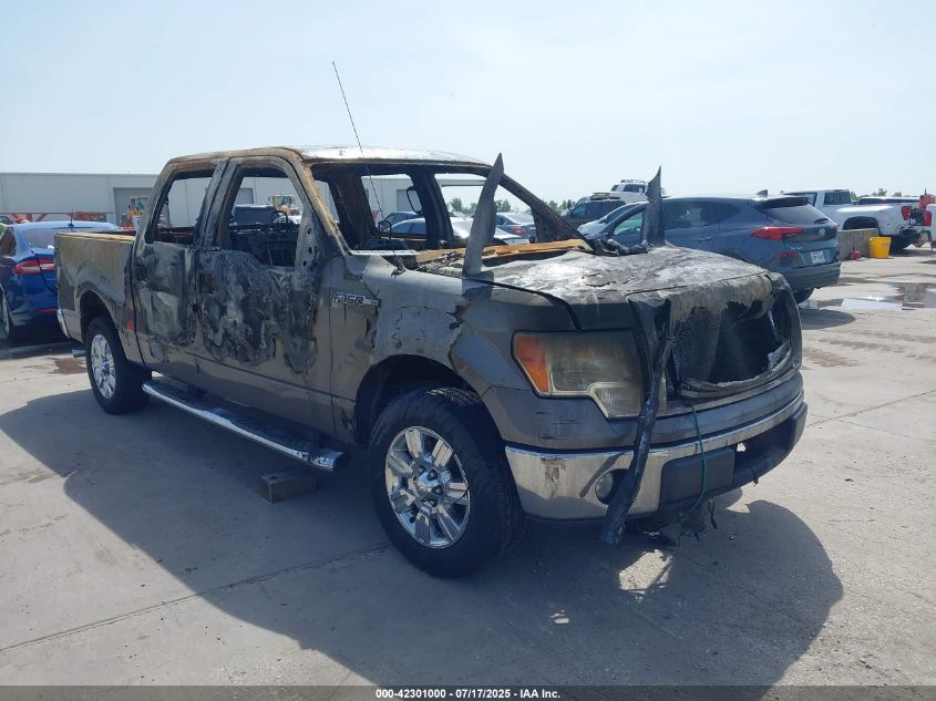 FORD F-150 FX2 SPORT/XL/XLT