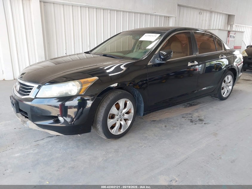 2010 HONDA ACCORD VIN: 1HGCP3F89AA018243