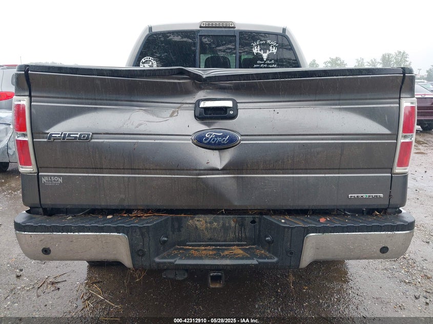 2012 FORD F150 VIN: 1FTFW1EF9CFB92323