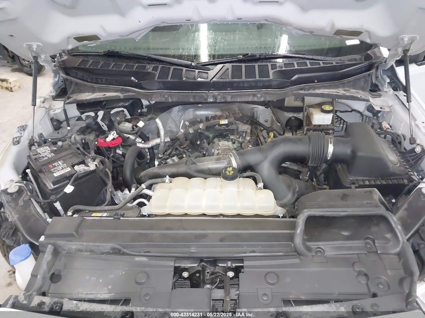 2021 FORD F150 VIN: 1FTEW1CP9MKE41204