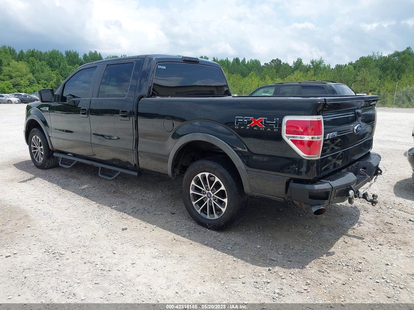2009 FORD F-150 VIN: 1FTPW14V09FA38282