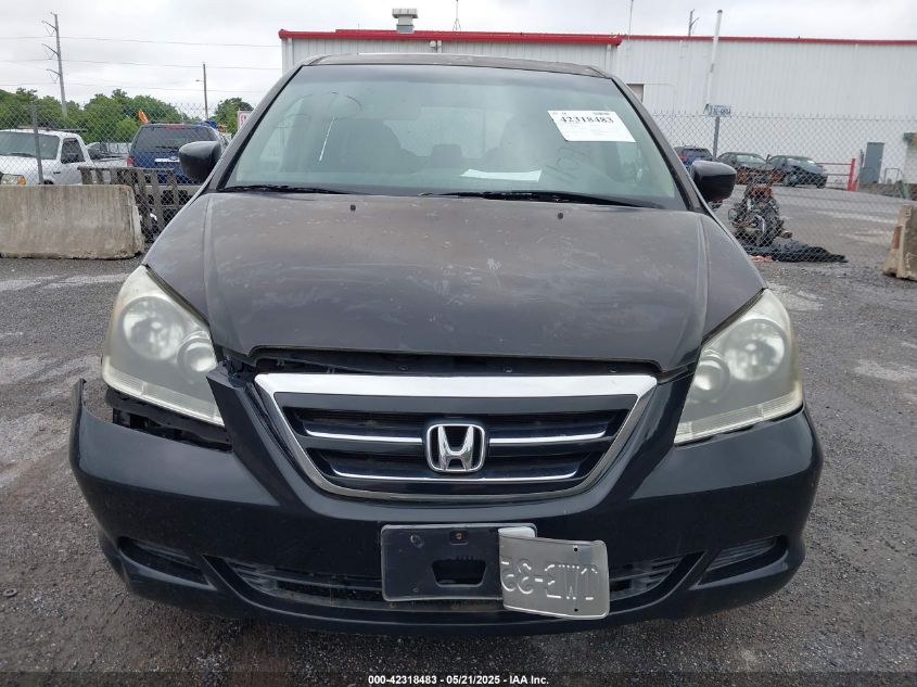 2007 Honda Odyssey Ex-L VIN: 5FNRL38777B05585 Lot: 42318483