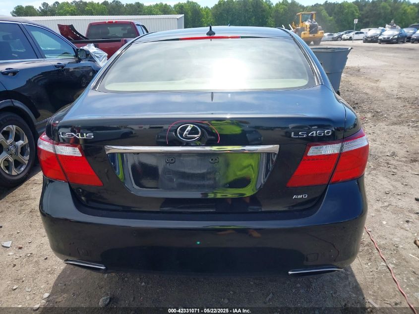 2009 Lexus Ls 460 VIN: JTHCL46F195002037 Lot: 42331071