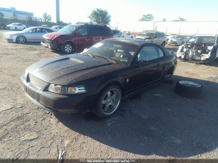 1999 Ford Mustang Gt black coupe gasoline 1FAFP42X5XF156510 photo #3