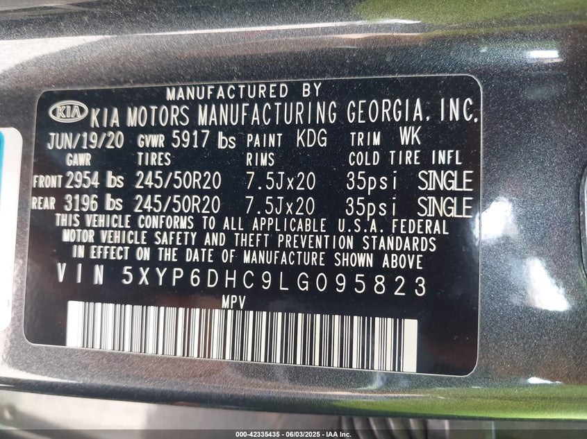 2020 KIA TELLURIDE VIN: 5XYP6DHC9LG095823