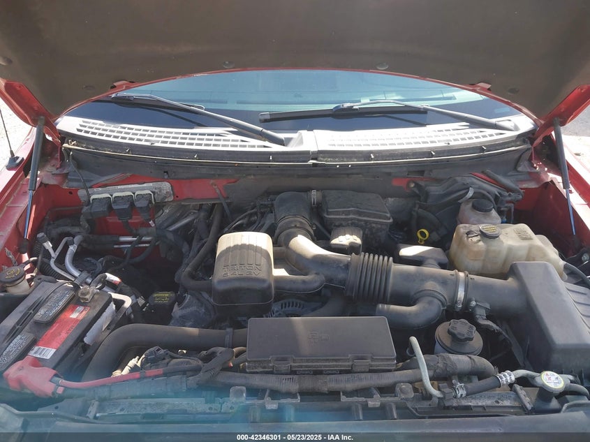 2010 FORD F-150 VIN: 1FTFW1EV1AFB69039