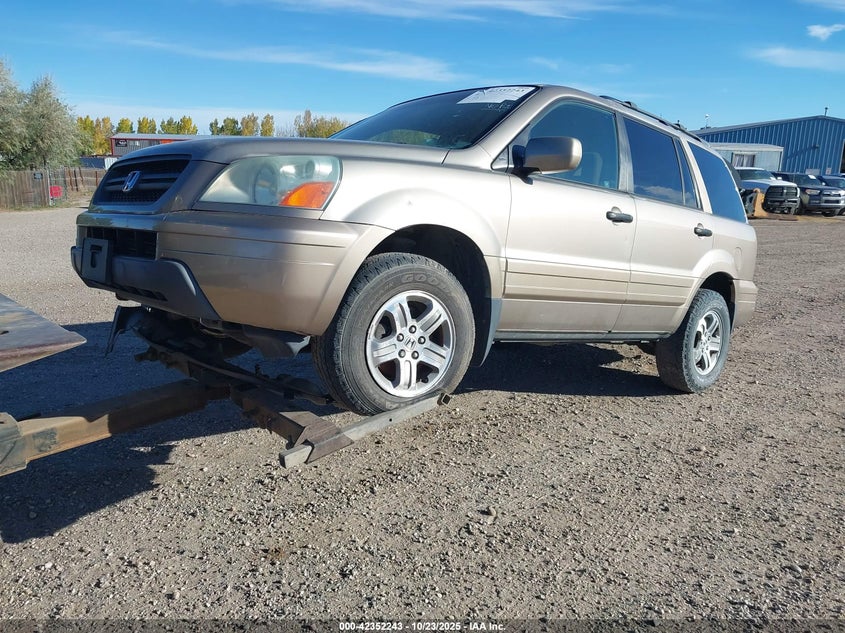 2004 Honda Pilot Ex gold suv gasoline 2HKYF18414H504287 photo #3