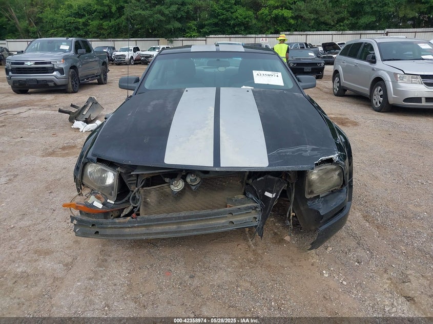 2006 Ford Mustang V6 VIN: 1ZVFT80N265251669 Lot: 42358974