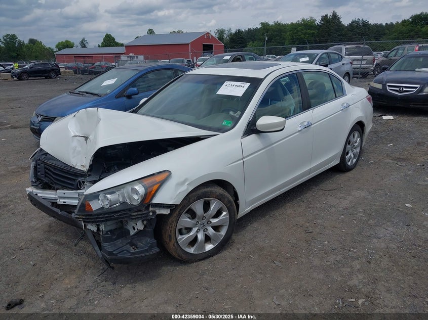 2009 HONDA ACCORD VIN: 5KBCP36899B002904