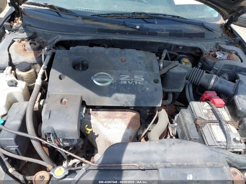 2006 NISSAN ALTIMA VIN: 1N4AL11D16N309884