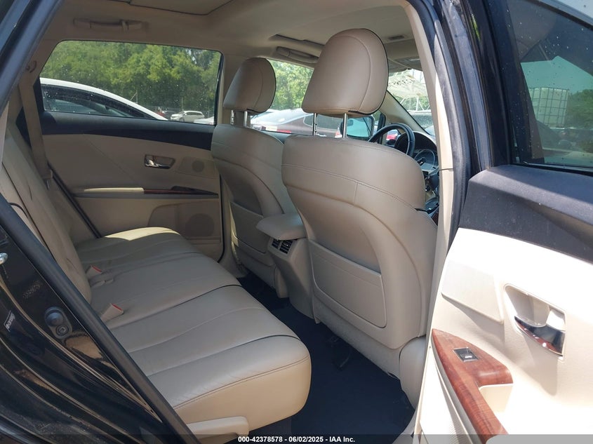 2009 TOYOTA VENZA VIN: 4T3BK11A59U006255