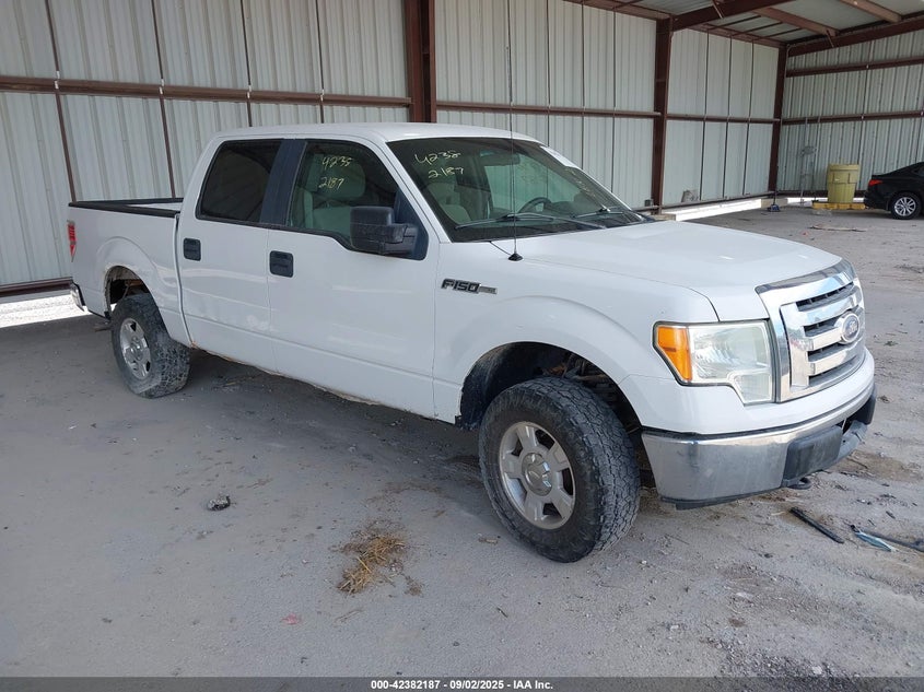 1FTFW1EV5AFB69285 2010 Ford F-150 Fx4/Harley-Davidson/King Ranch/Lariat/Platinum/Xl/Xlt auction photo 1