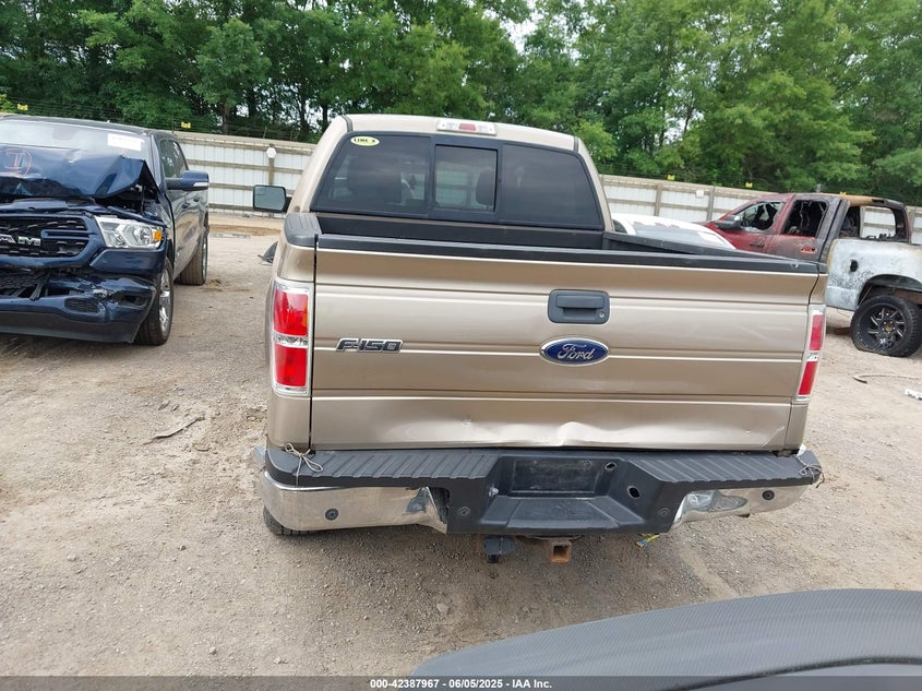 2012 FORD F150 VIN: 1FTFW1ETXCKD45854