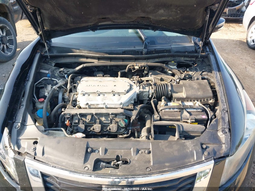 2010 HONDA ACCORD VIN: 1HGCP3F81AA013022