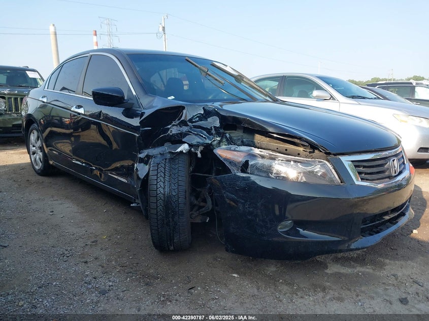 2010 HONDA ACCORD VIN: 1HGCP3F81AA013022