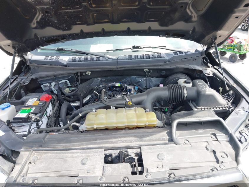 2019 Ford F150 Xl VIN: 1FTEW1CP8KFC0279 Lot: 42390903