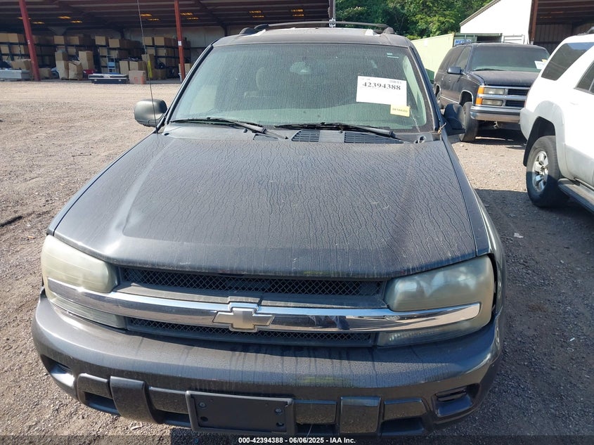 2007 CHEVROLET TRAILBLAZER VIN: 1GNDS13S172210689