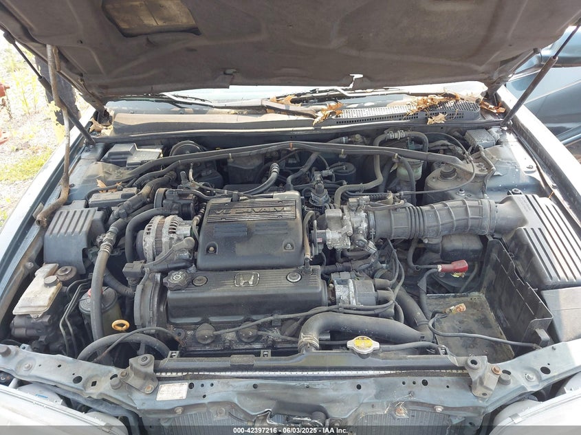 1997 Honda Accord VIN: 1SGCE6675VA020916 Lot: 42397216