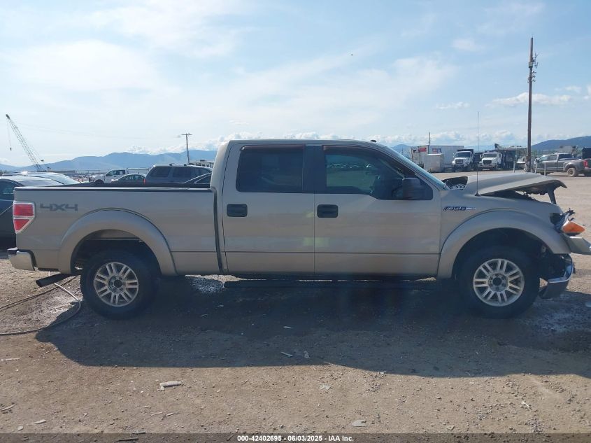2009 Ford F-150 Xlt VIN: 1FTRW14899FB36715 Lot: 42402695
