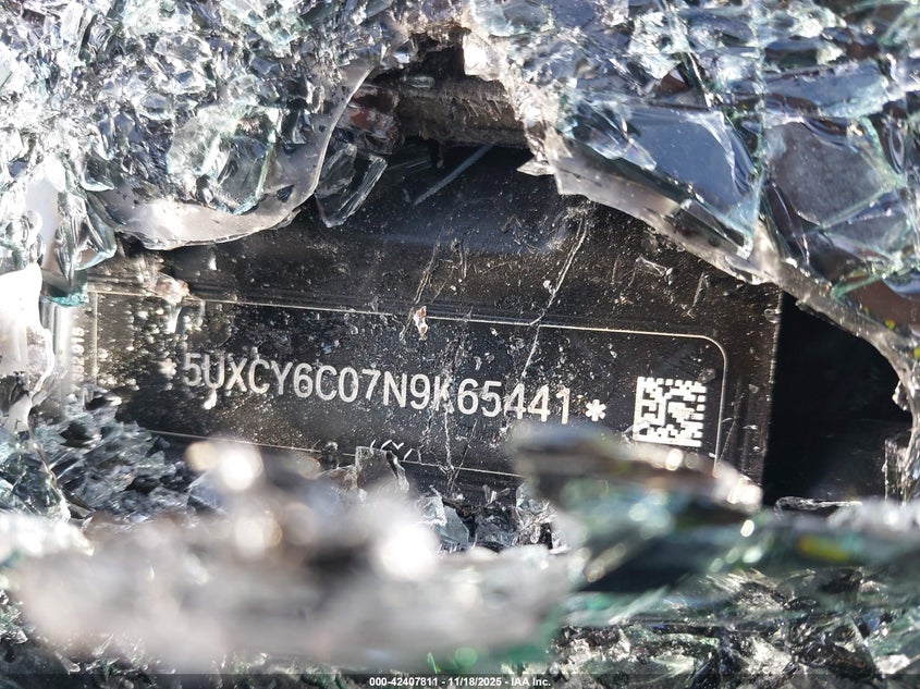 2022 BMW X6 xDrive40I VIN: 5UXCY6C07N9K65441 Lot: 42407811