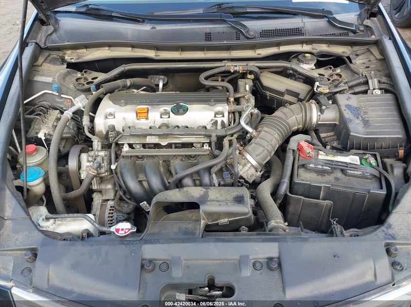 2010 HONDA ACCORD VIN: 1HGCP2F81AA000989