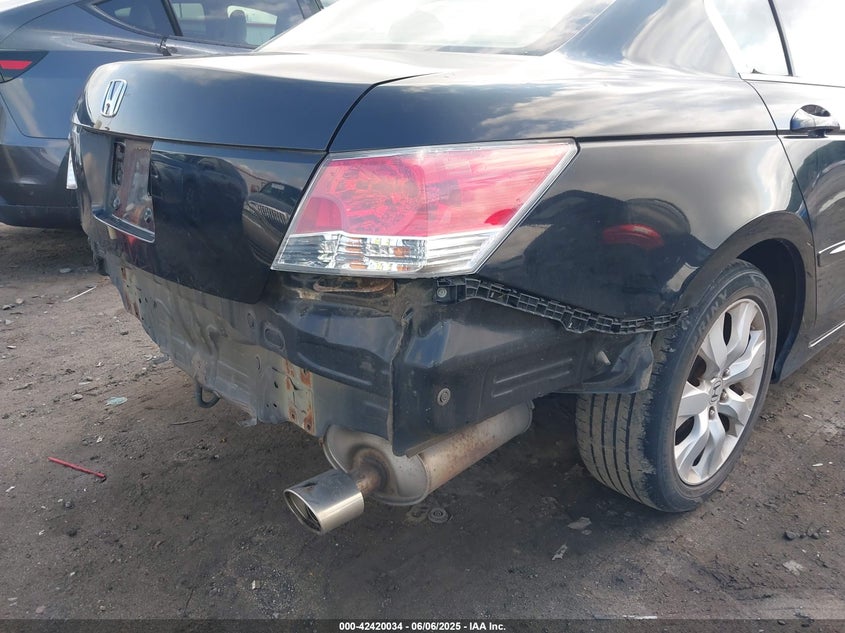 2010 HONDA ACCORD VIN: 1HGCP2F81AA000989
