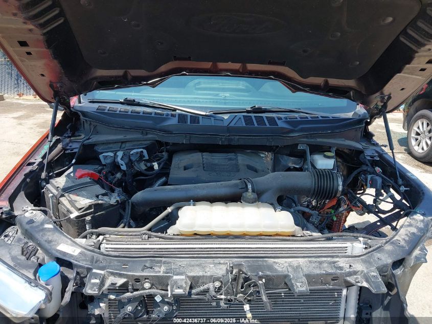 2023 Ford F-150 - 1FTFW1E81PKD40821