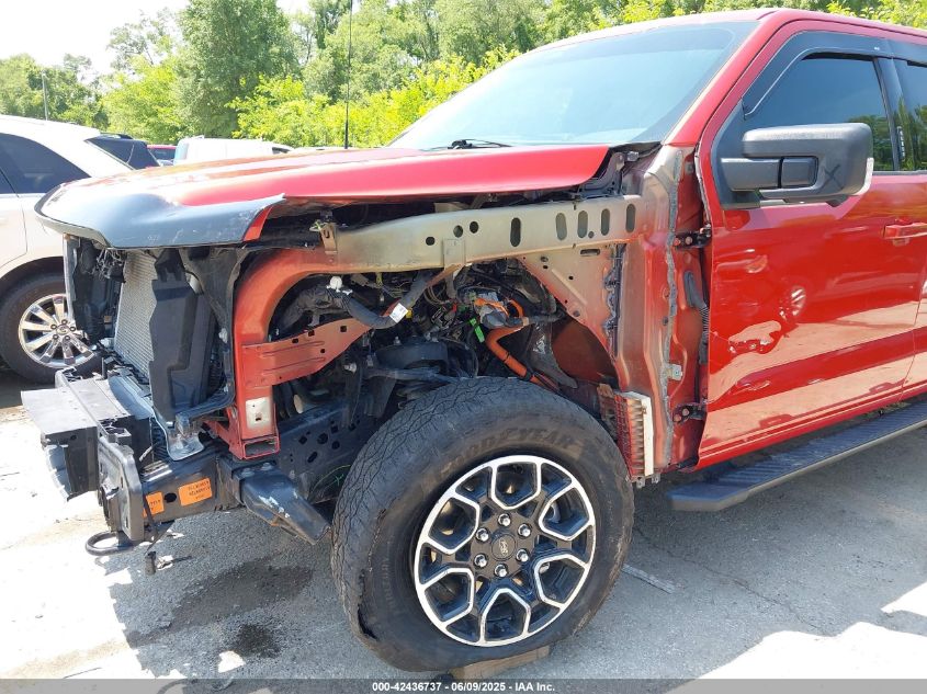 2023 Ford F-150 - 1FTFW1E81PKD40821