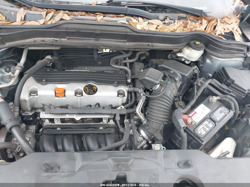 2010 HONDA CR-V VIN: 5J6RE3H37AL017445
