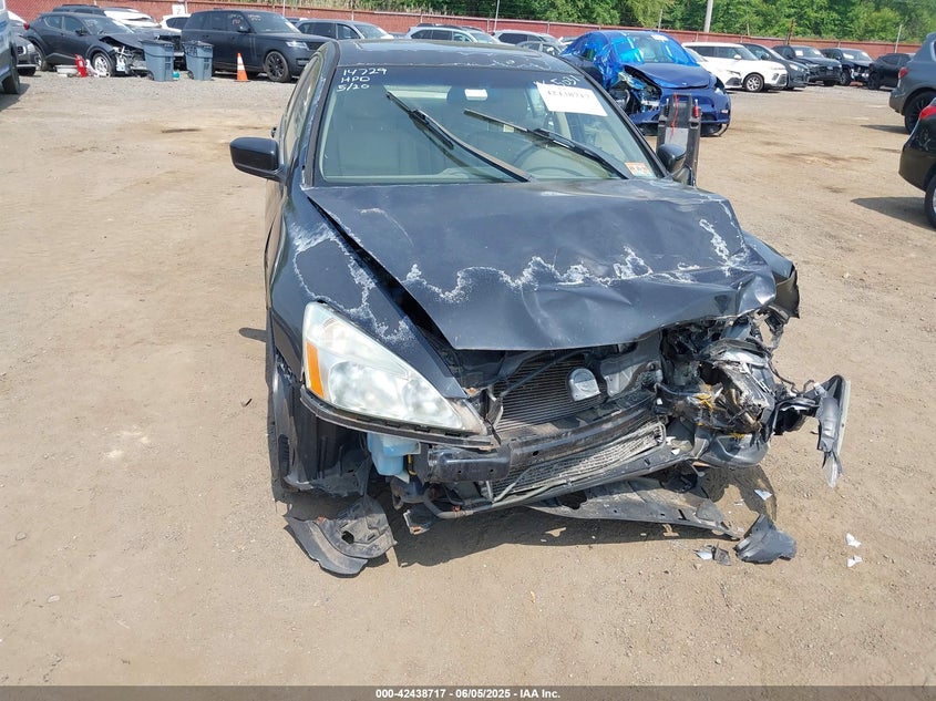2006 Honda Accord 3.0 Ex VIN: 1HGCM66556A075031 Lot: 43814141