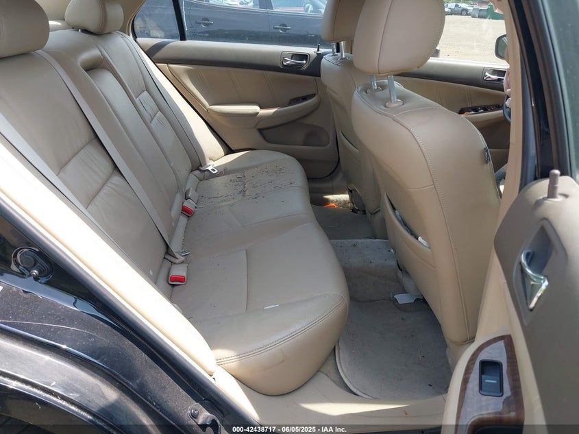 2006 Honda Accord 3.0 Ex VIN: 1HGCM66556A075031 Lot: 43814141