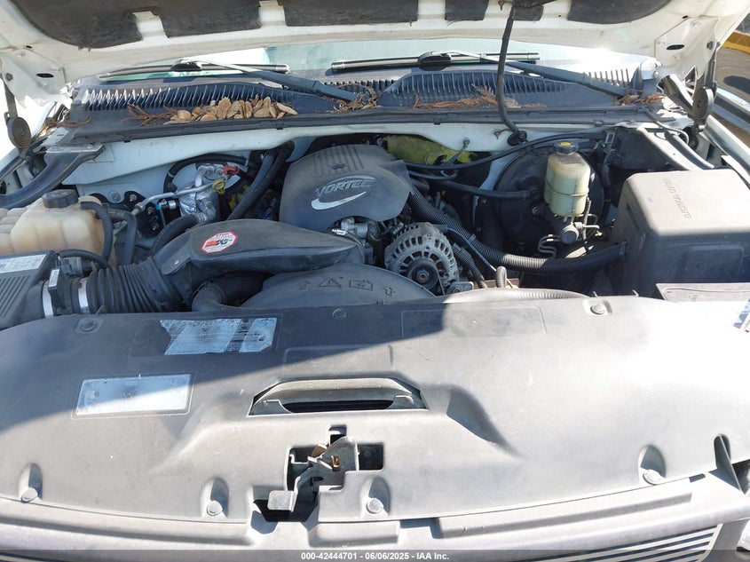 2002 Chevrolet Silverado 1500 Ls VIN: 2GCEC19T821349785 Lot: 42444701