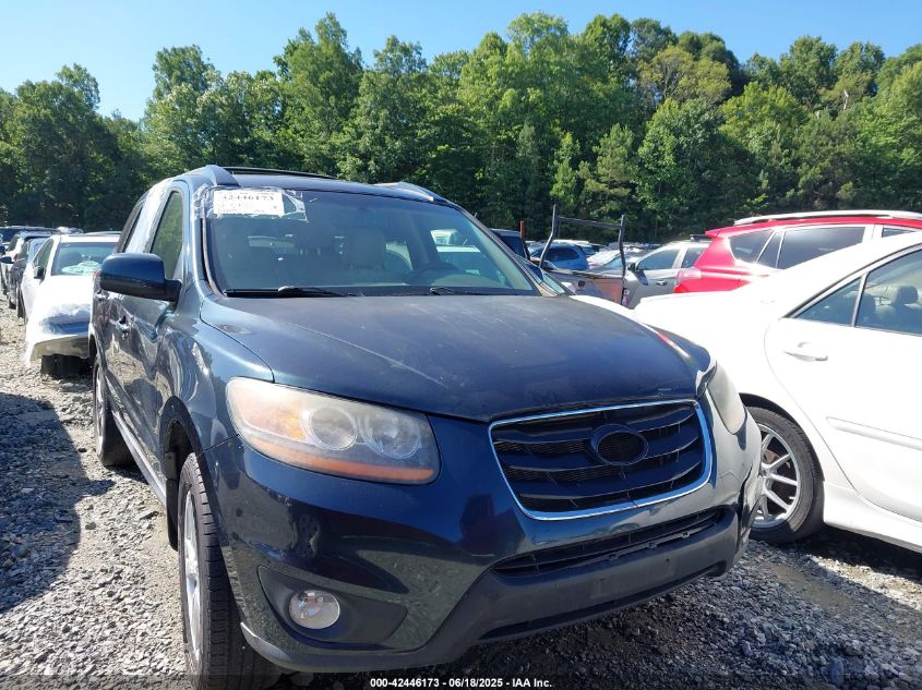 2011 Hyundai Santa Fe Limited VIN: 5XYZK3ABXBG056592 Lot: 42446173