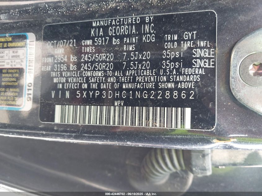 2022 Kia Telluride Ex VIN: 5XYP3DHC1NG228862 Lot: 42446702