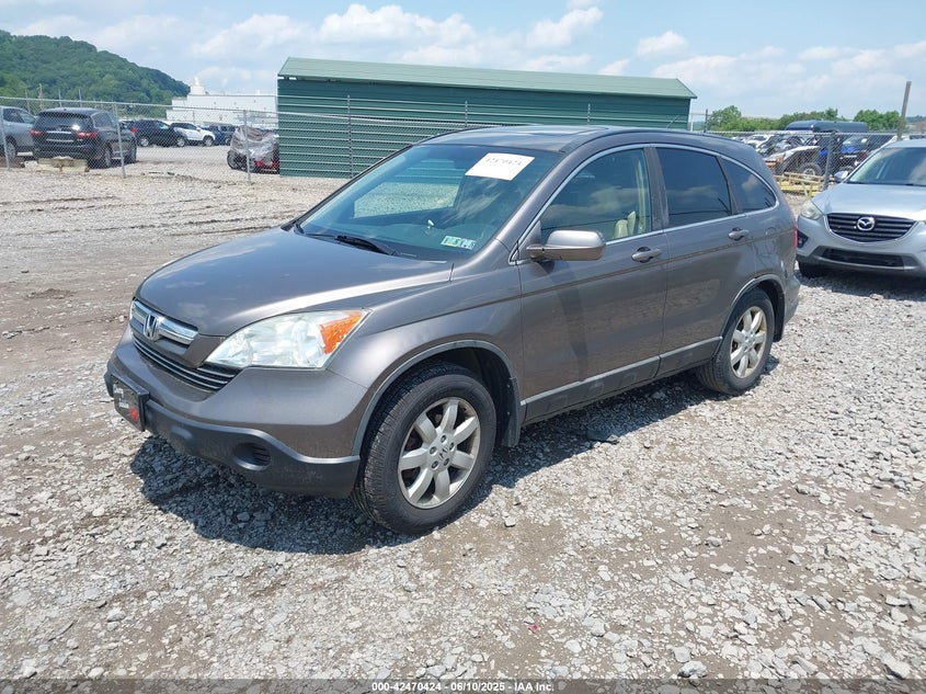 2009 HONDA CR-V VIN: 5J6RE48759L015150