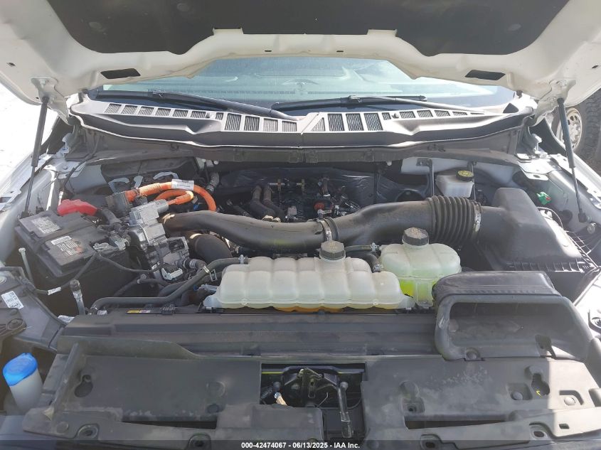 2024 Ford F-150 - 1FTFW3LD6RFA04167