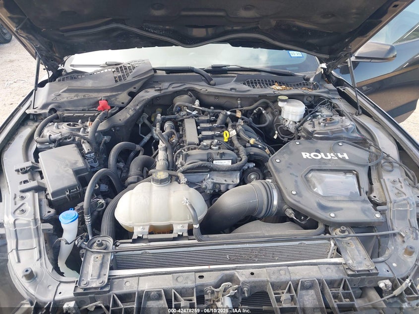 2021 FORD MUSTANG ECOBOOST FASTBACK - 1FA6P8TH9M5157224