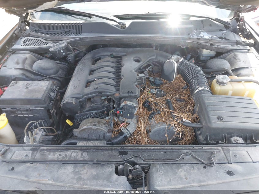 2009 DODGE CHALLENGER VIN: 2B3LJ44V89H599733