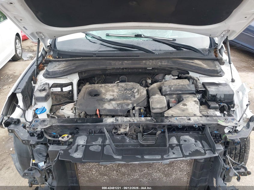 2020 HYUNDAI SANTA FE LIMITED - 5NMS53AD9LH204460