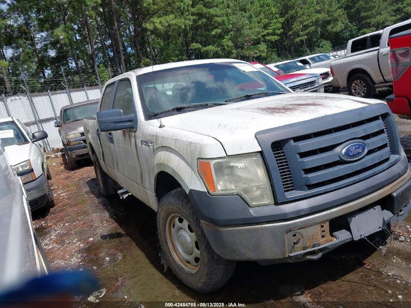2012 Ford F-150 Xl VIN: 1FTFW1EF7CKD06584 Lot: 42484785