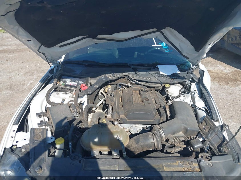 2019 FORD MUSTANG - 1FA6P8TH7K5125790