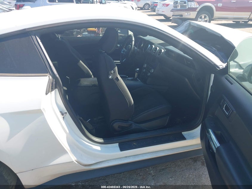 2019 FORD MUSTANG - 1FA6P8TH7K5125790