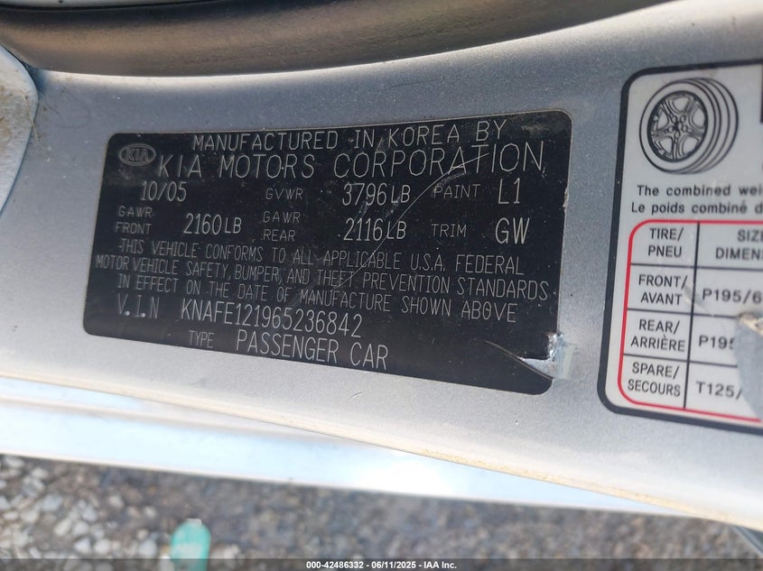 2006 KIA SPECTRA VIN: KNAFE121965236842