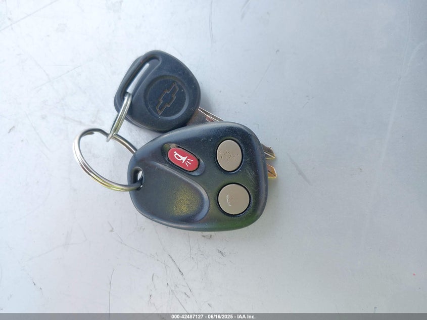 2004 Chevrolet Silverado 1500 Z71 VIN: 2GCEK13T441430992 Lot: 42487127