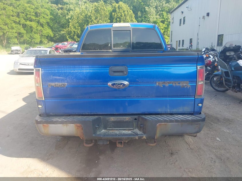 2012 Ford F-150 Svt Raptor VIN: 1FTEX1R61CFA22556 Lot: 42491010