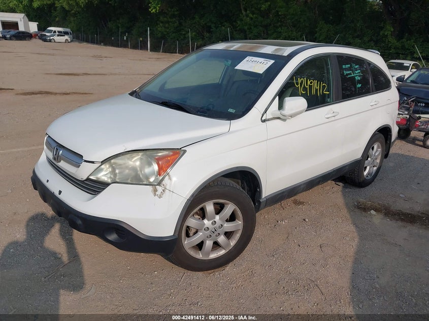 2009 HONDA CR-V VIN: 5J6RE48799L018231