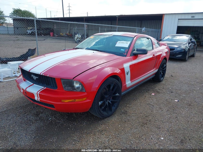 2006 FORD MUSTANG VIN: 1ZVFT80N765145203