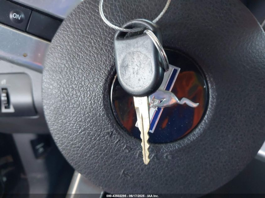 2008 Ford Mustang V6 Deluxe/V6 Premium VIN: 1ZVHT80N785162112 Lot: 42502295